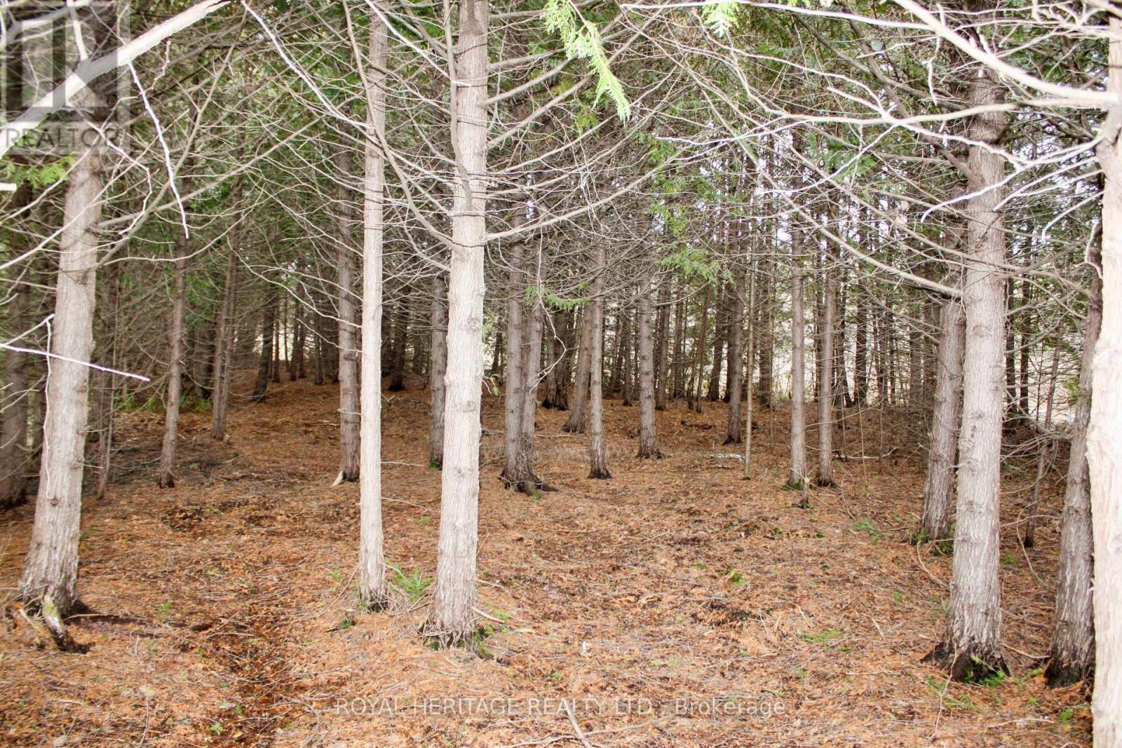 810 4th Line, Douro-Dummer, Ontario  K0L 3E0 - Photo 32 - X9341511