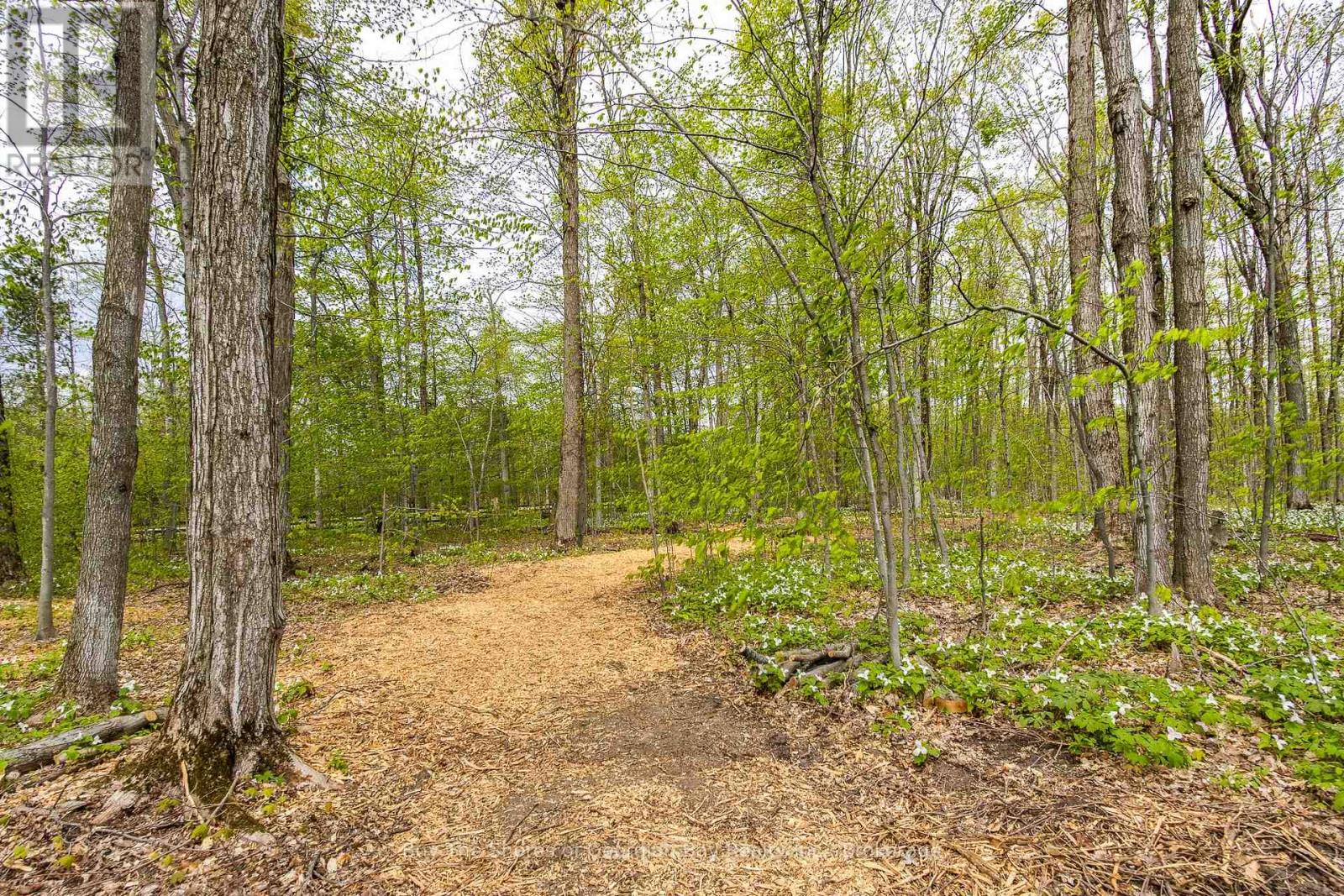691 Mount St. Louis Road, Oro-Medonte (Moonstone), Ontario  L0L 1V0 - Photo 49 - S12165307