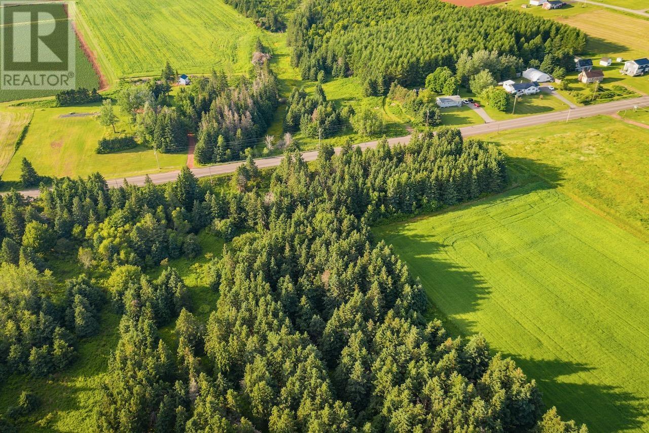 Acreage East Point Road, Chepstow, Prince Edward Island  C0A 2B0 - Photo 13 - 202511875