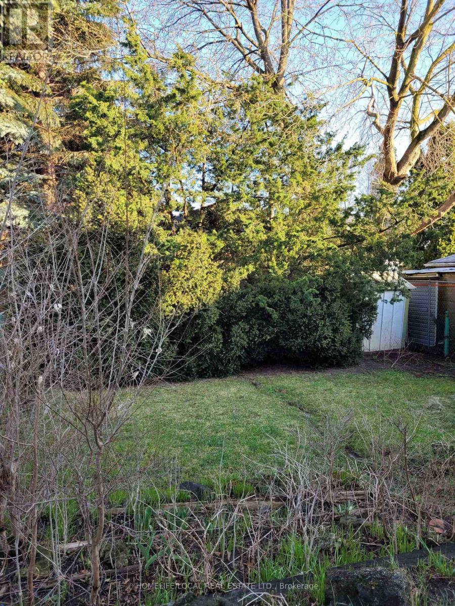 241 Eileen Avenue, Toronto, Ontario  M6N 1W5 - Photo 12 - W12165020