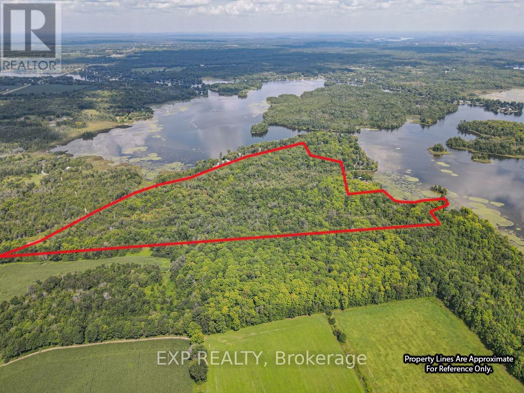 Na Birch Point Road, Trent Hills, Ontario  K0L 1Y0 - Photo 3 - X12165027