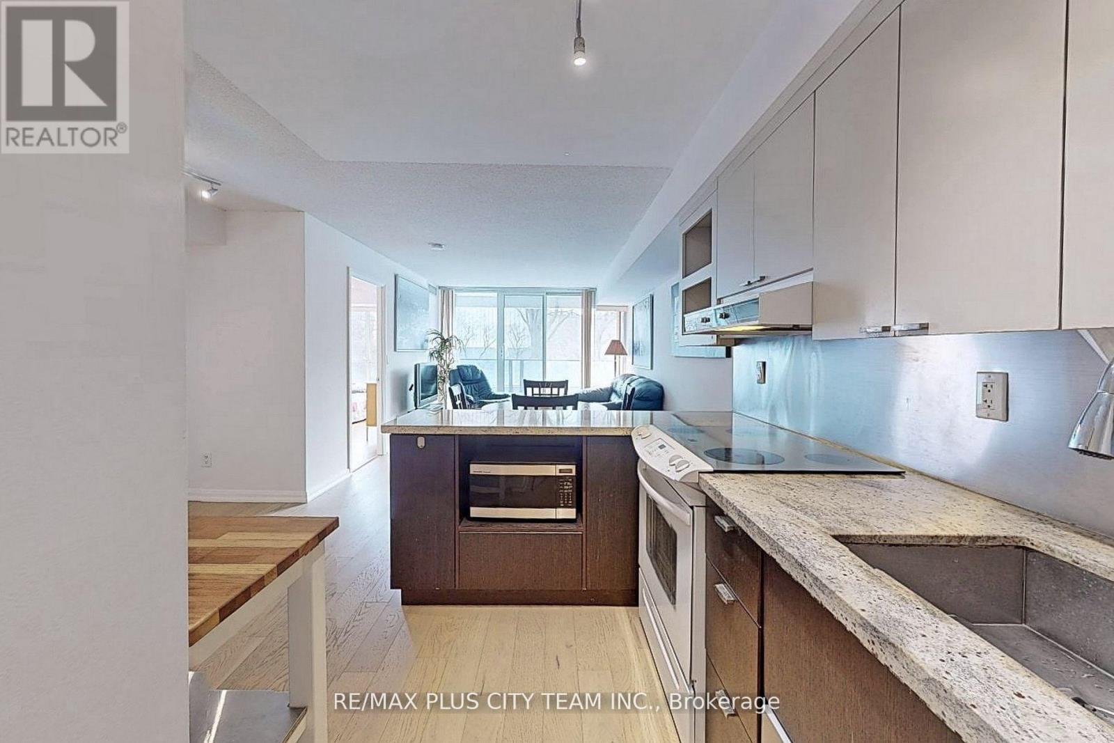 308 - 111 Elizabeth Street, Toronto, Ontario  M5G 1P7 - Photo 10 - C12165137