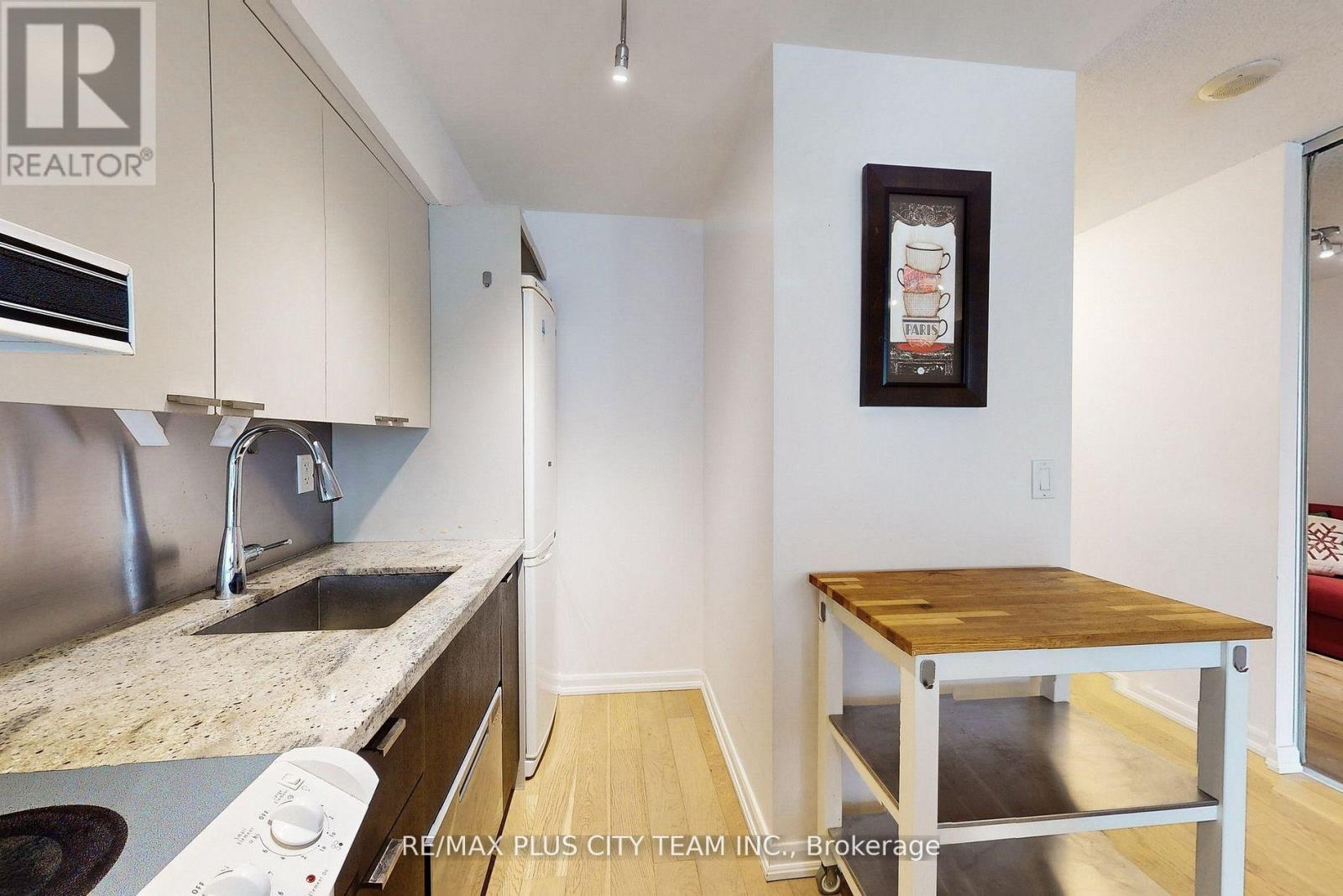 308 - 111 Elizabeth Street, Toronto, Ontario  M5G 1P7 - Photo 9 - C12165137