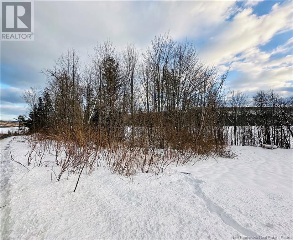 Lot 09-01 Route 105, Southampton, New Brunswick  E6G 1N2 - Photo 27 - NB107457