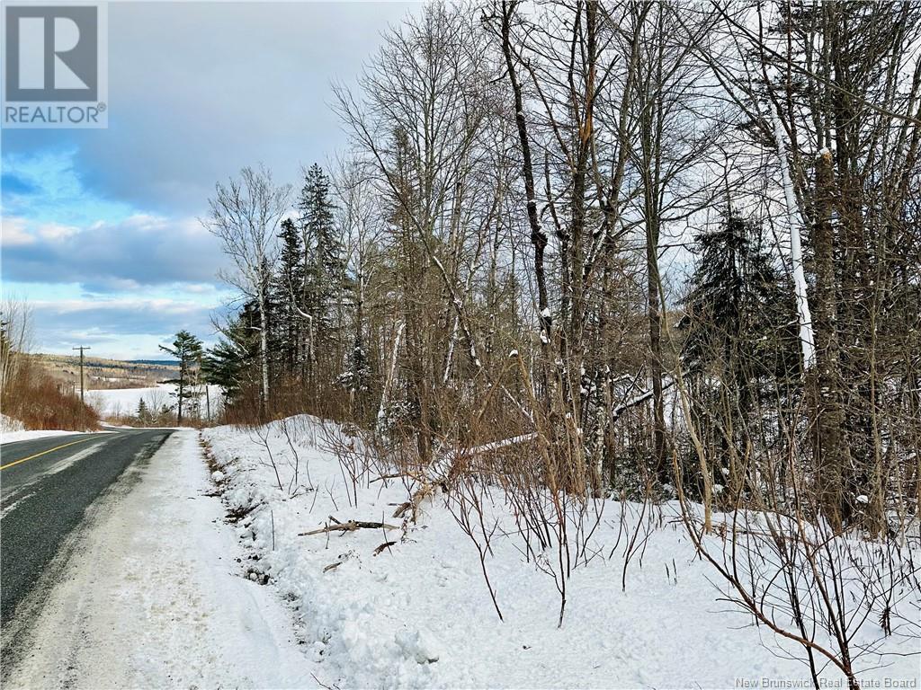 Lot 09-01 Route 105, Southampton, New Brunswick  E6G 1N2 - Photo 22 - NB107457