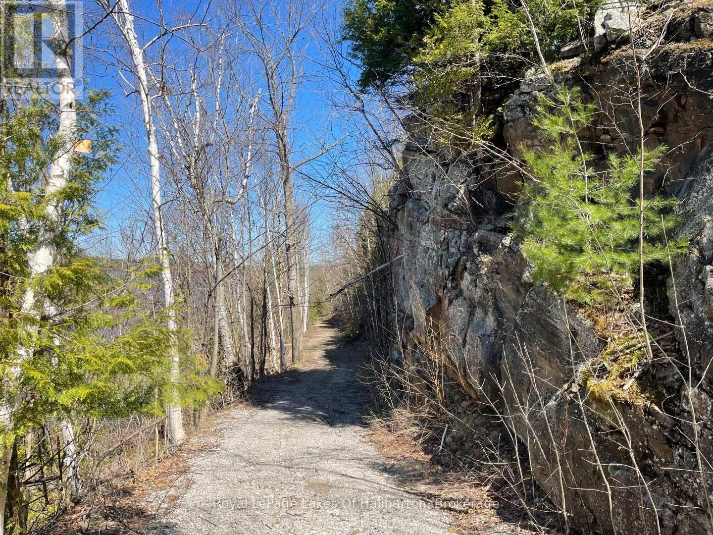 0 Starlight Road, Minden Hills, Ontario  K0M 2K0 - Photo 25 - X12165580