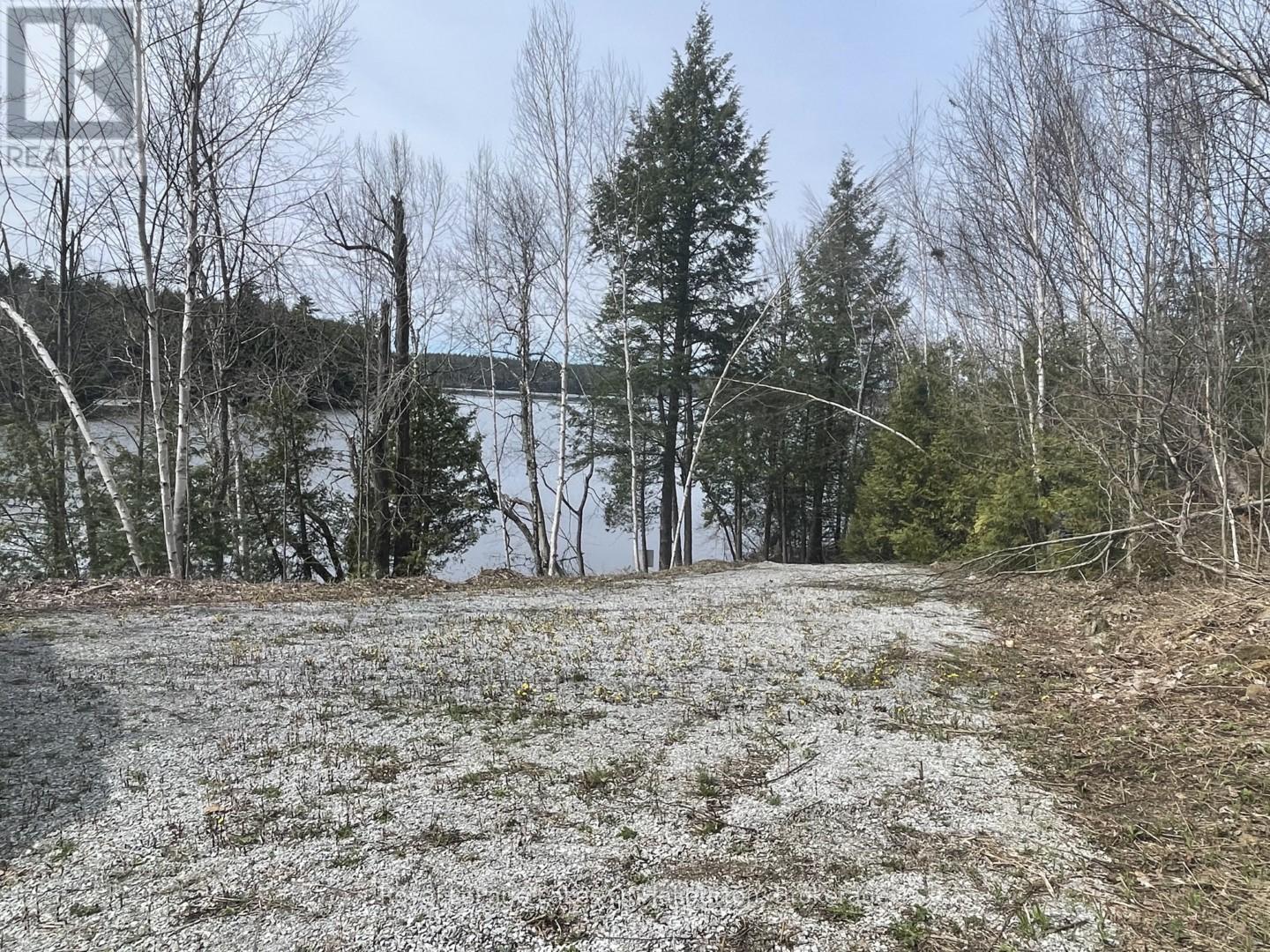 0 Starlight Road, Minden Hills, Ontario  K0M 2K0 - Photo 9 - X12165580