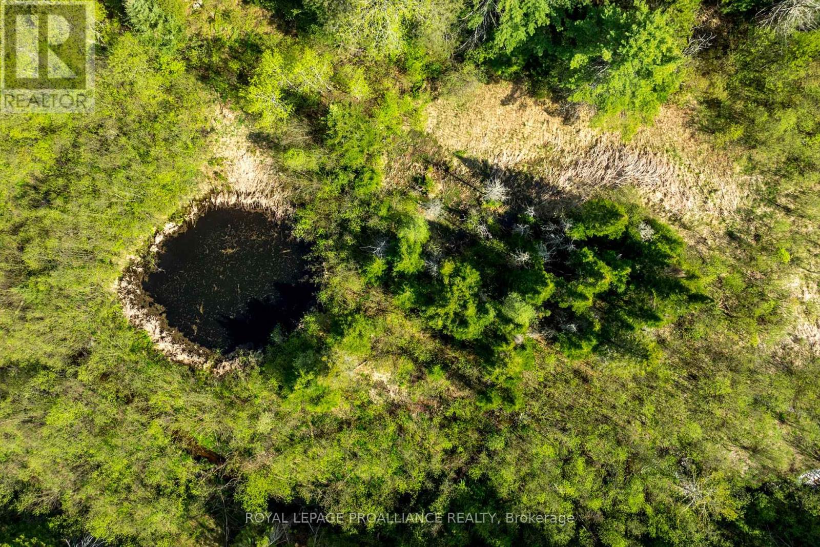 32977 Highway 62 N, Hastings Highlands, Ontario  K0L 2S0 - Photo 50 - X12165628
