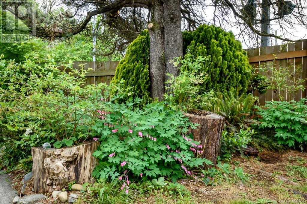 491 26th St, Courtenay, British Columbia  V9N 6V1 - Photo 39 - 1000764