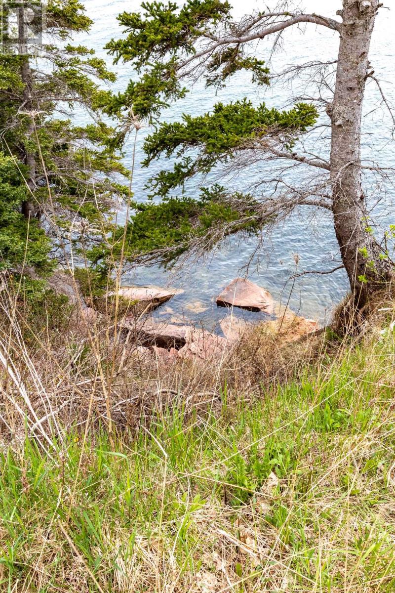 4645 Cape Bear Road, High Bank, Prince Edward Island  C0A 1W0 - Photo 48 - 202511888
