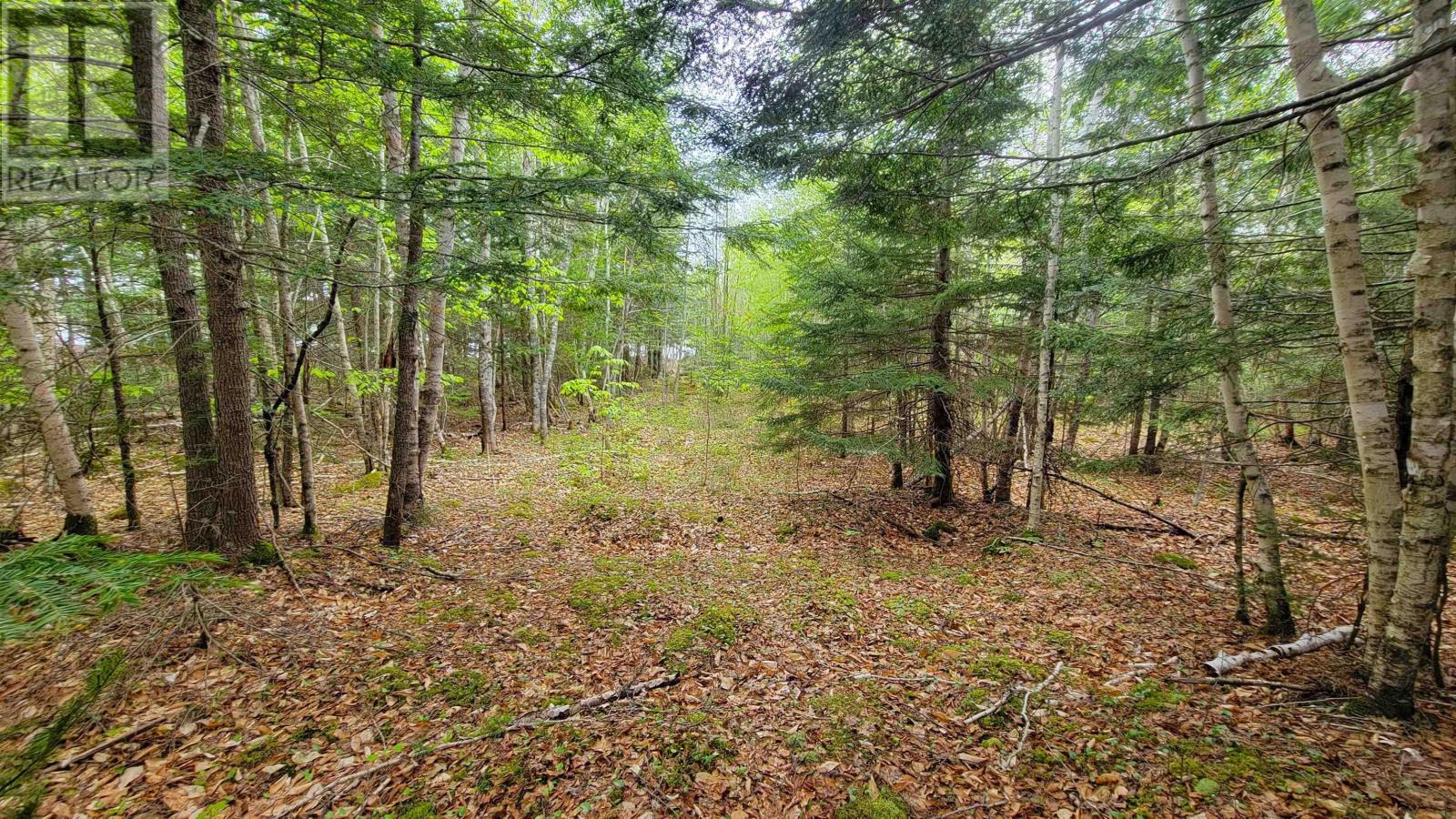 101 Madashak Road, Middle New Cornwall, Nova Scotia  B0J 2E0 - Photo 10 - 202511399