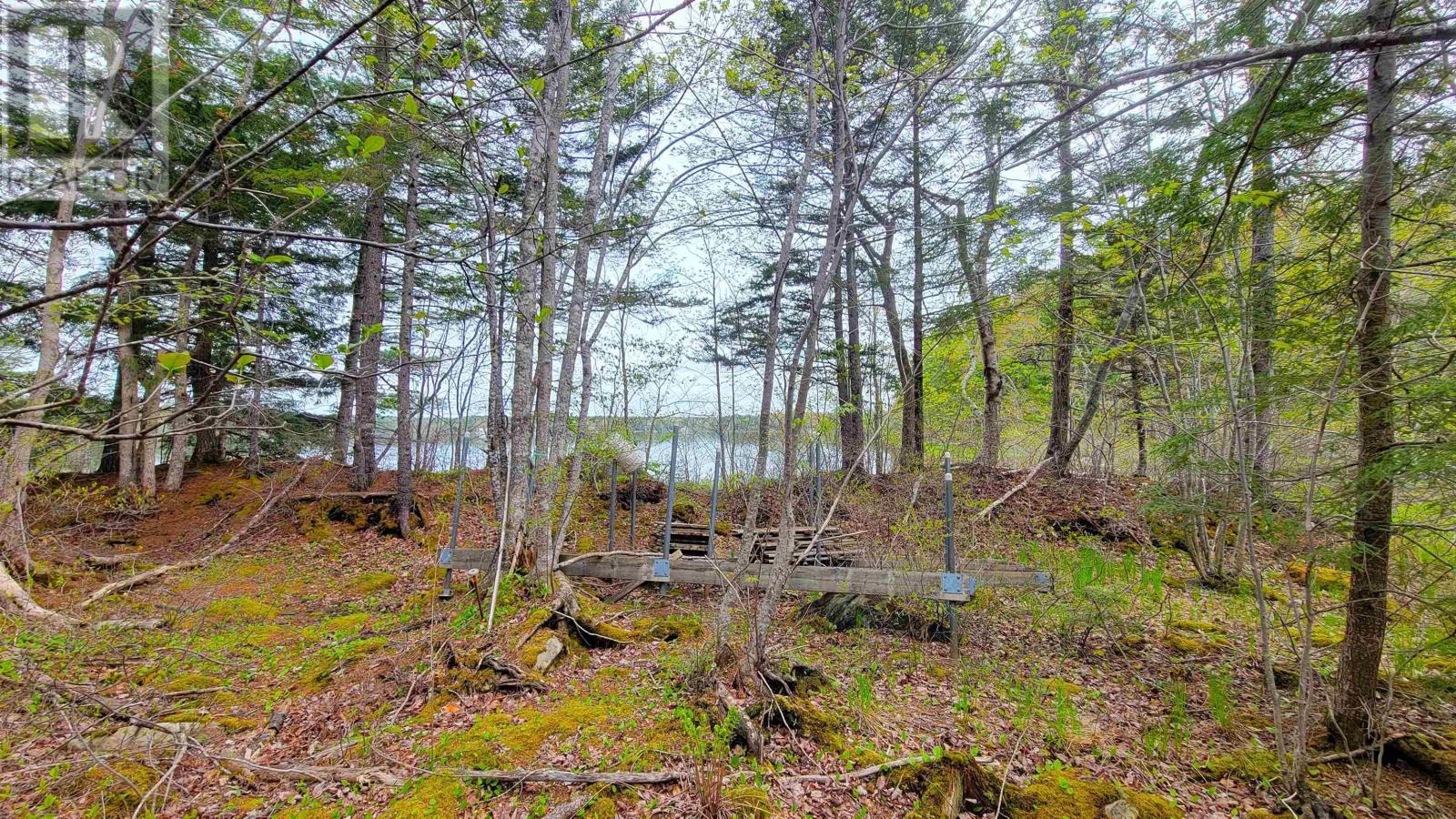 101 Madashak Road, Middle New Cornwall, Nova Scotia  B0J 2E0 - Photo 7 - 202511399