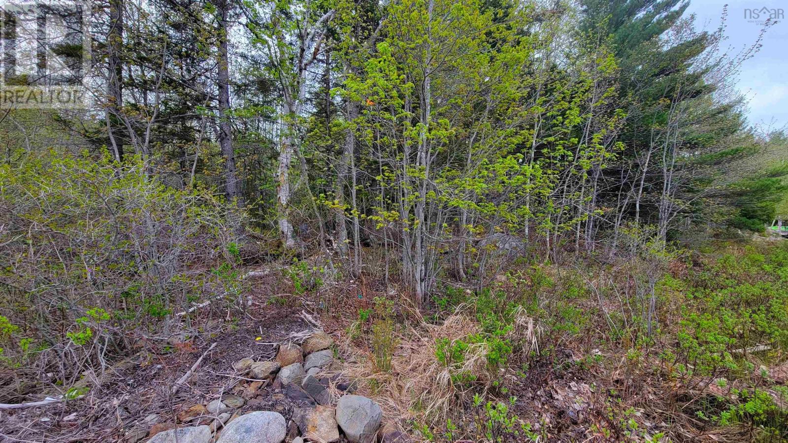 101 Madashak Road, Middle New Cornwall, Nova Scotia  B0J 2E0 - Photo 5 - 202511399