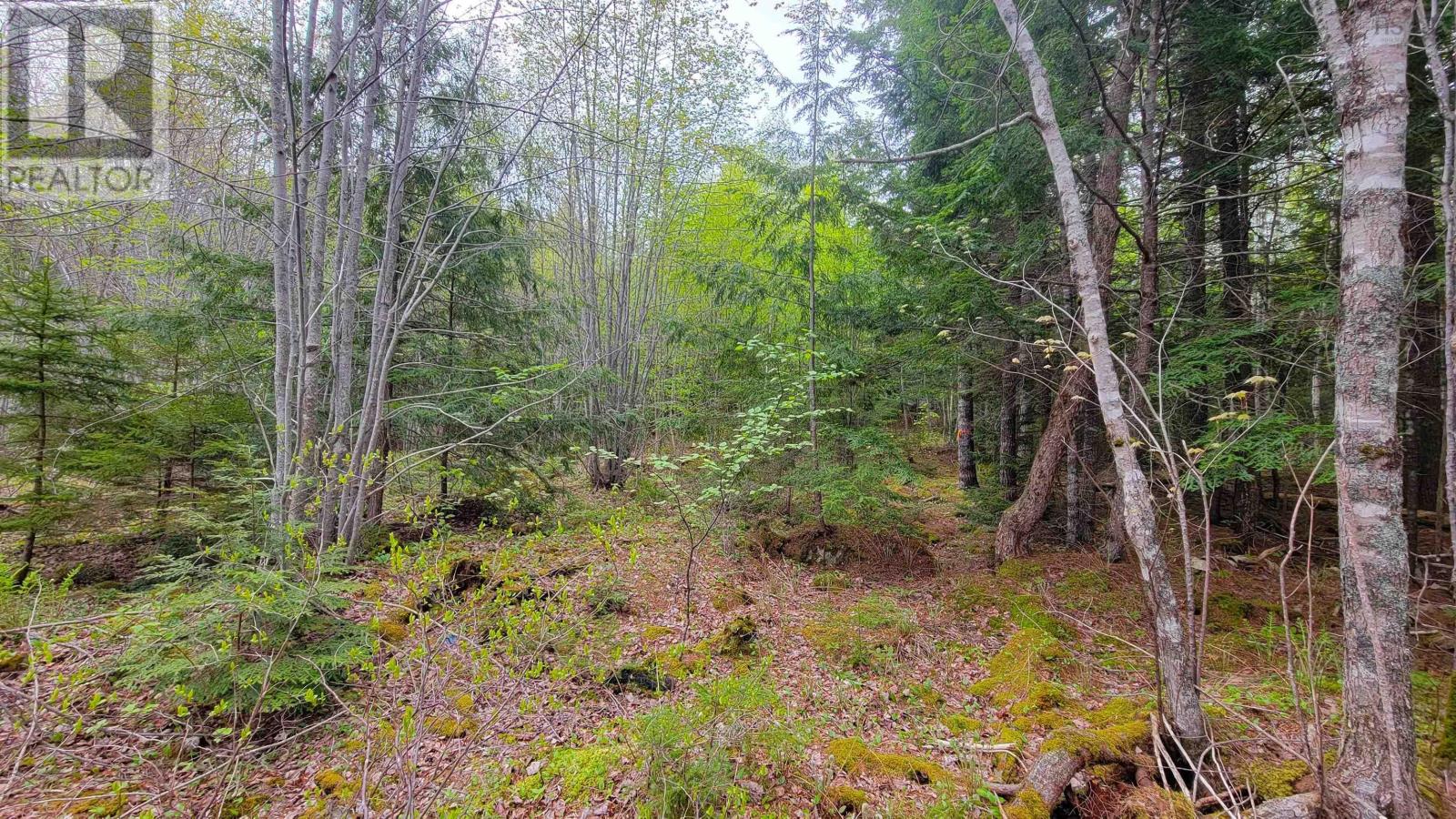 101 Madashak Road, Middle New Cornwall, Nova Scotia  B0J 2E0 - Photo 8 - 202511399