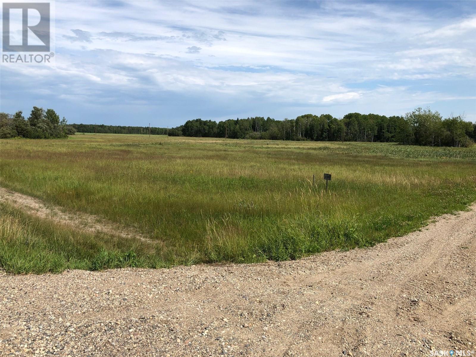 Vautour North Lot, Hudson Bay, Saskatchewan  S0E 0Y0 - Photo 2 - SK006785