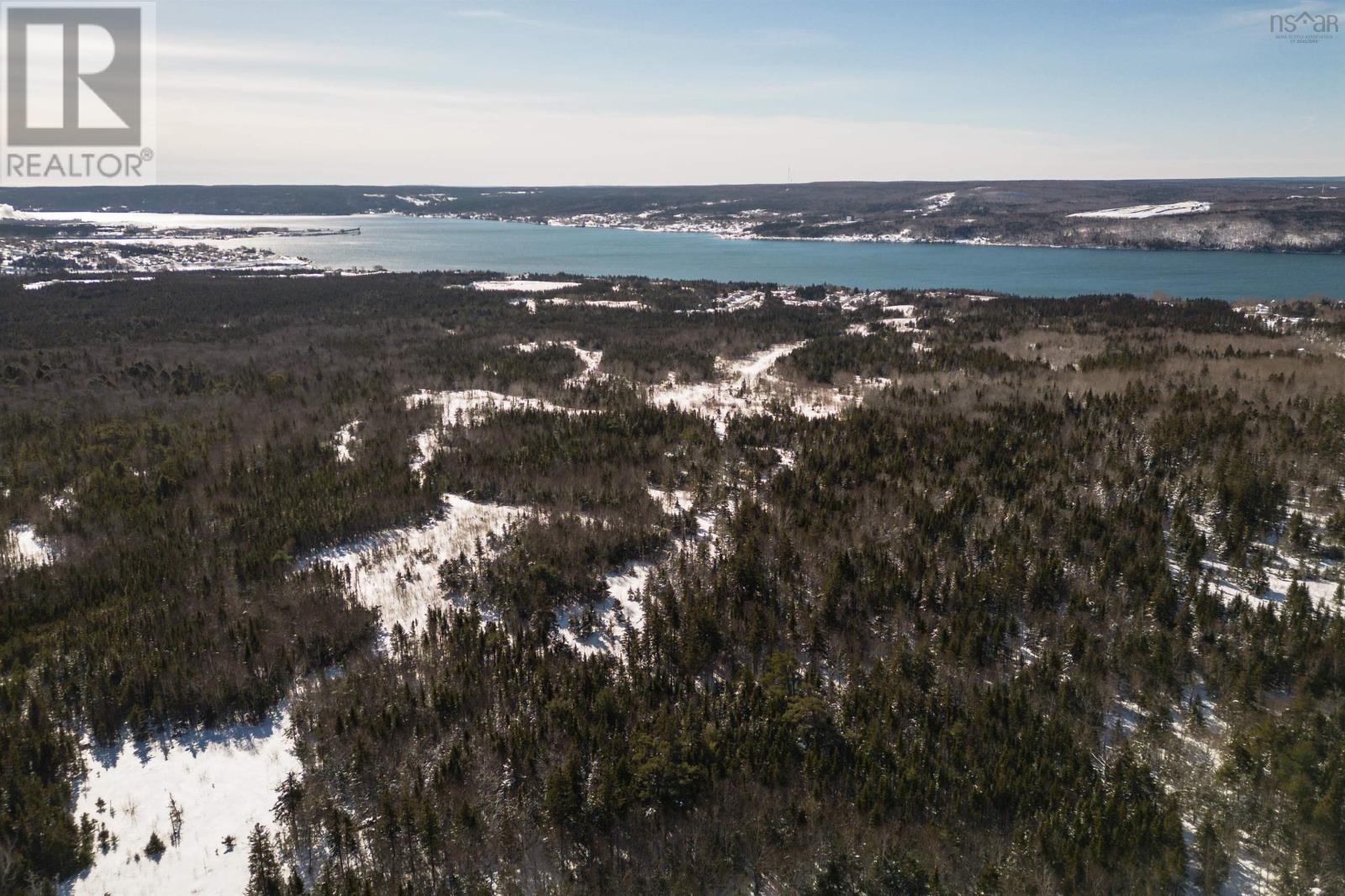 Charles Maclean Road, Port Hastings, Nova Scotia  B9A 1N7 - Photo 18 - 202511899
