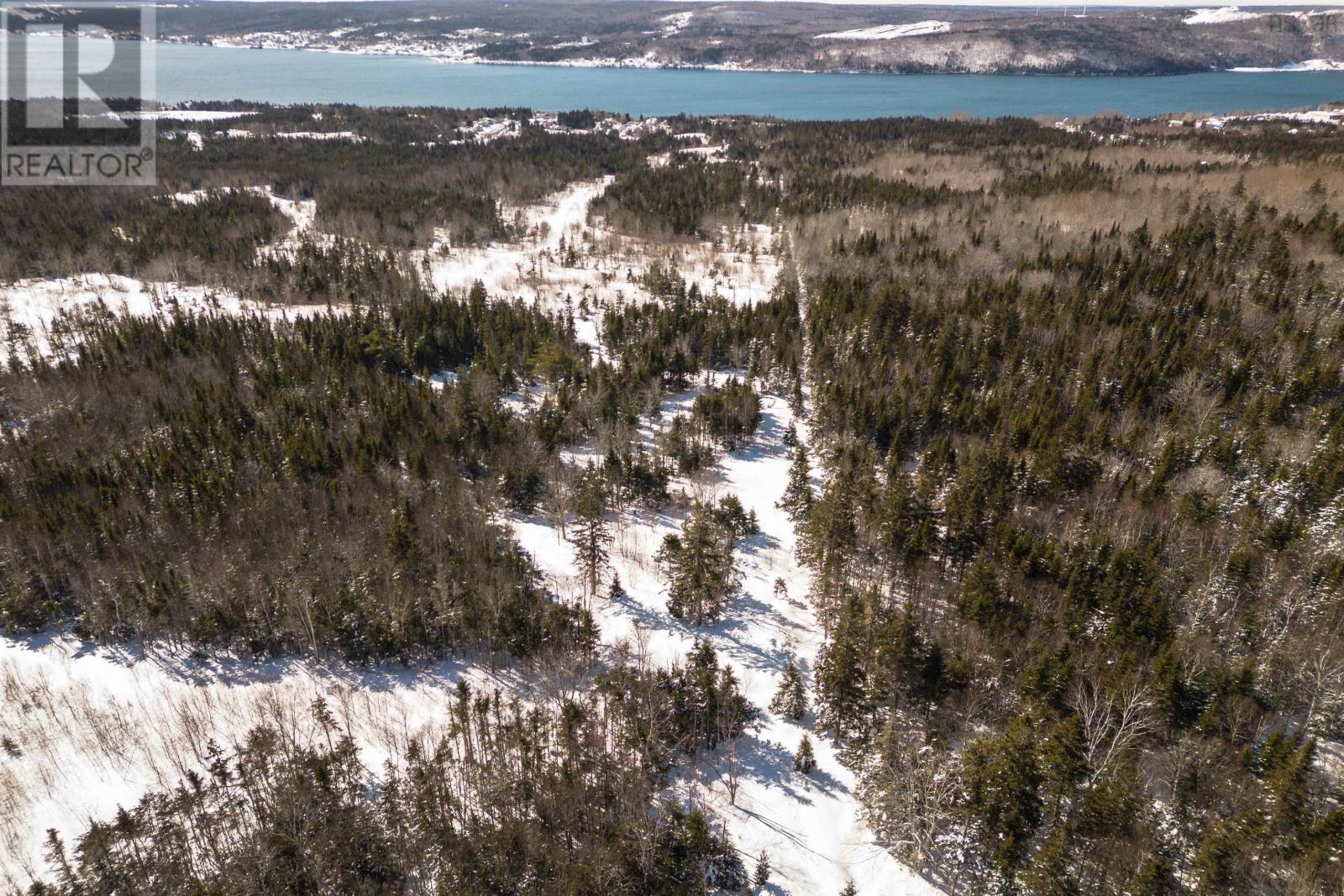 Charles Maclean Road, Port Hastings, Nova Scotia  B9A 1N7 - Photo 20 - 202511899