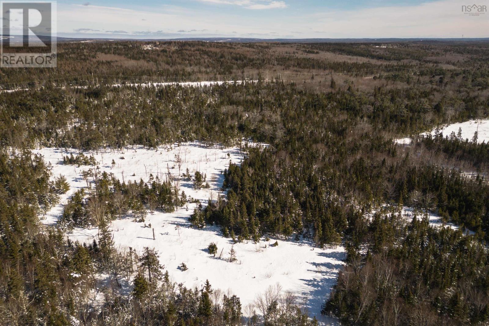 Charles Maclean Road, Port Hastings, Nova Scotia  B9A 1N7 - Photo 22 - 202511899