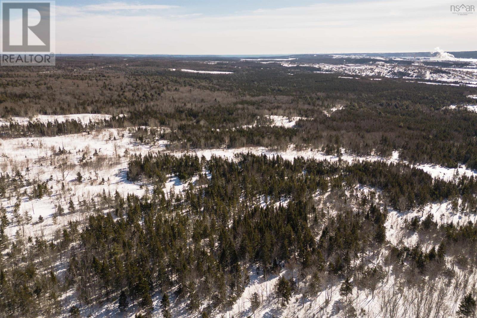 Charles Maclean Road, Port Hastings, Nova Scotia  B9A 1N7 - Photo 25 - 202511899
