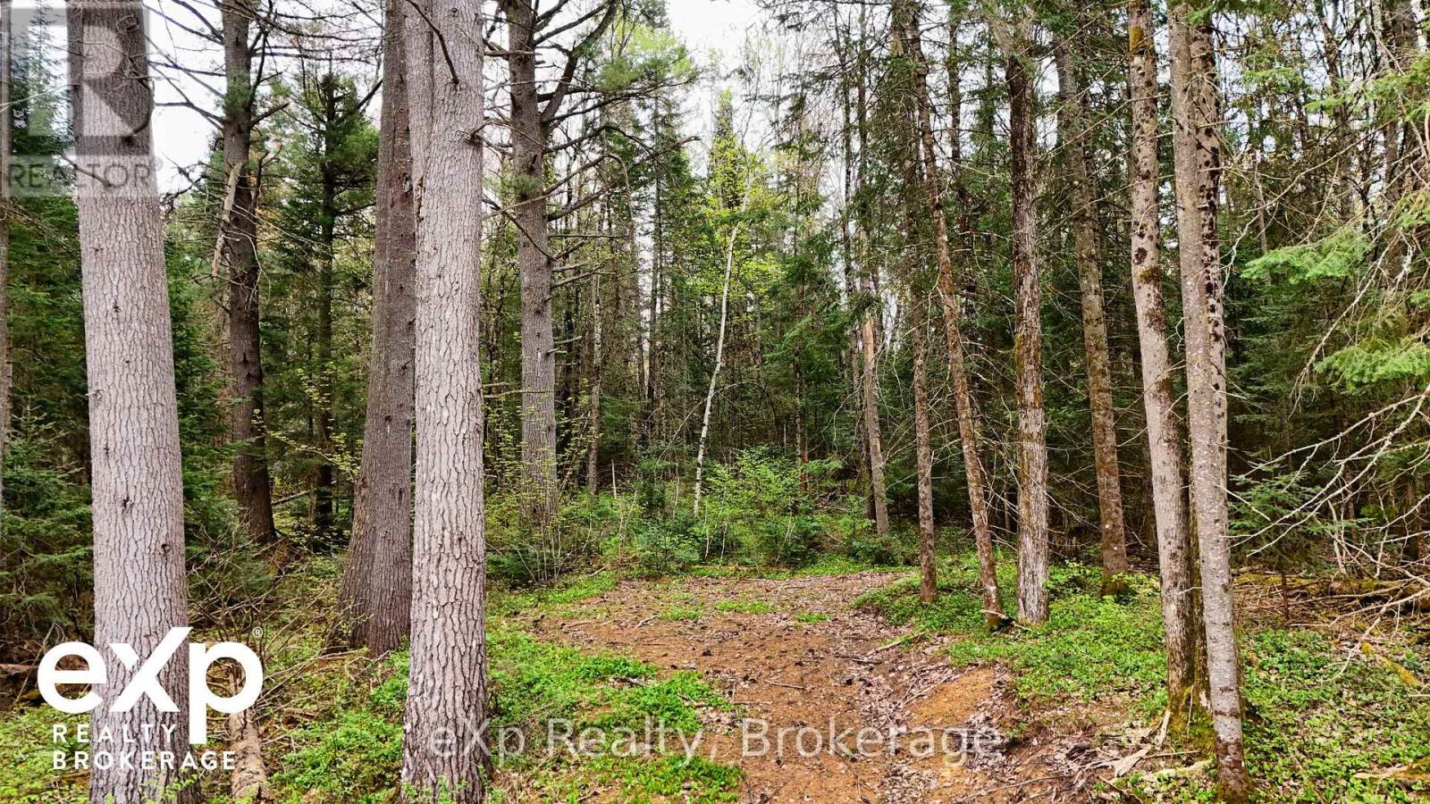 468 Balsam Chutes Road, Huntsville, Ontario  P0B 1L0 - Photo 7 - X12152605