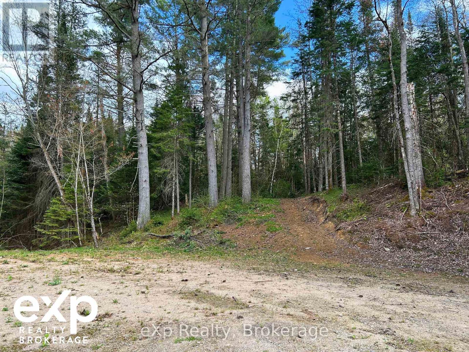468 Balsam Chutes Road, Huntsville, Ontario  P0B 1L0 - Photo 17 - X12152605