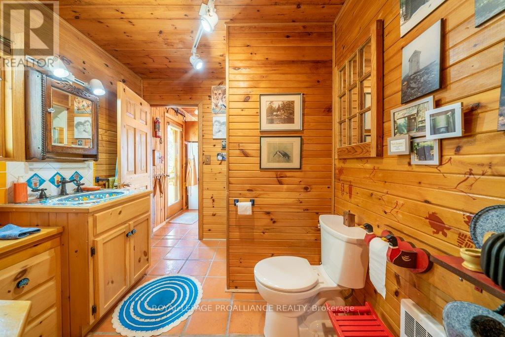 890 Mazinaw Lake, Addington Highlands, Ontario  K0H 1K0 - Photo 21 - X12165960