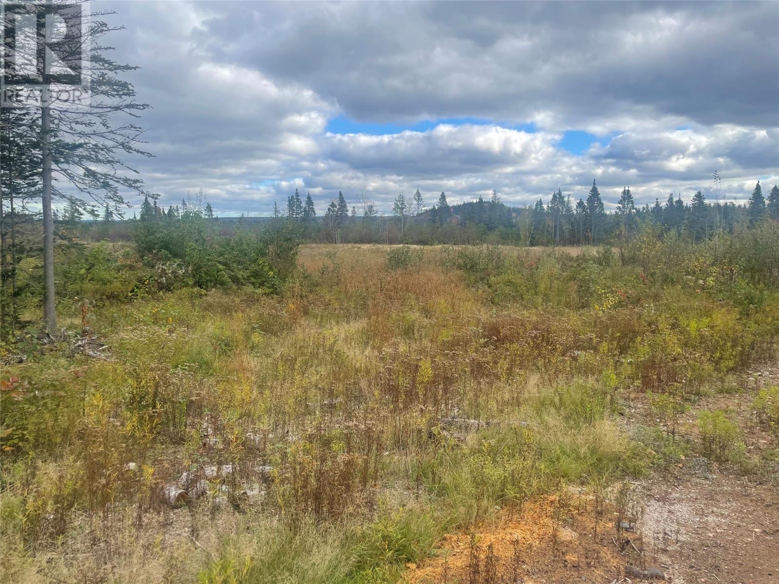 136333 Peter's Pond, Botwood, Newfoundland & Labrador