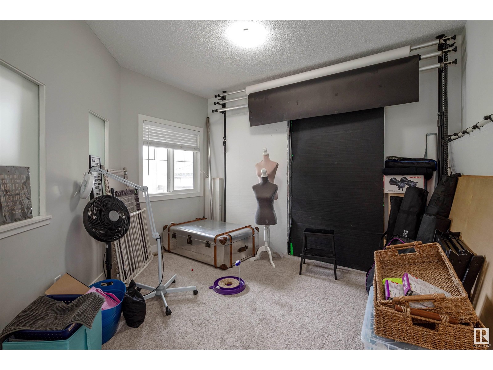 7298 Edgemont Wy Nw, Edmonton, Alberta  T6M 2N5 - Photo 8 - E4437837