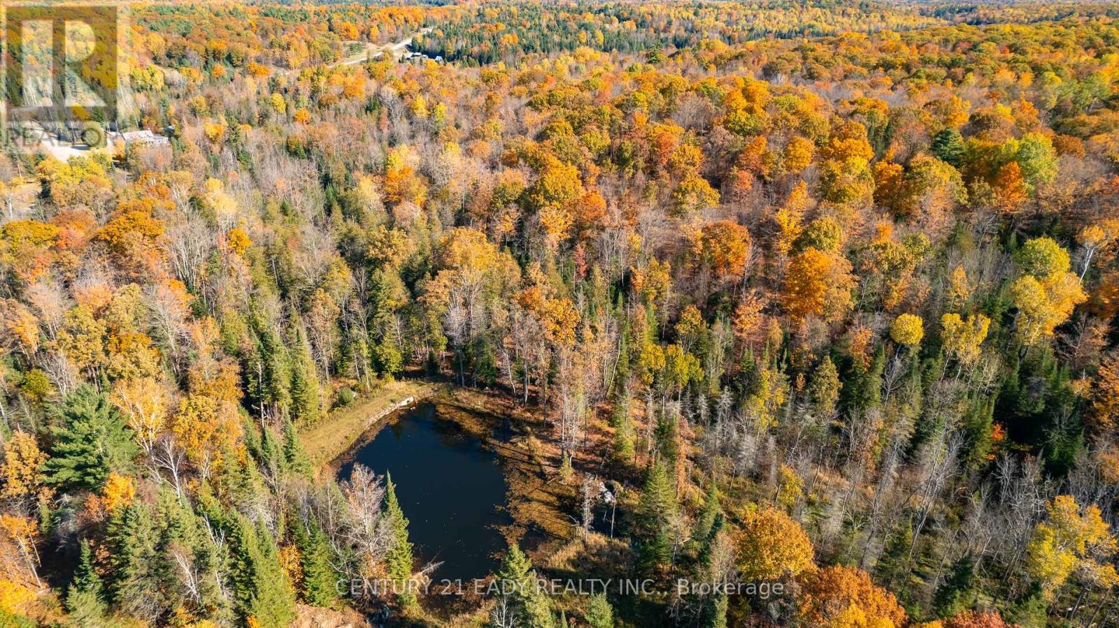 1648 Whelan Road, Admaston/bromley, Ontario  K7V 3Z7 - Photo 40 - X11974256