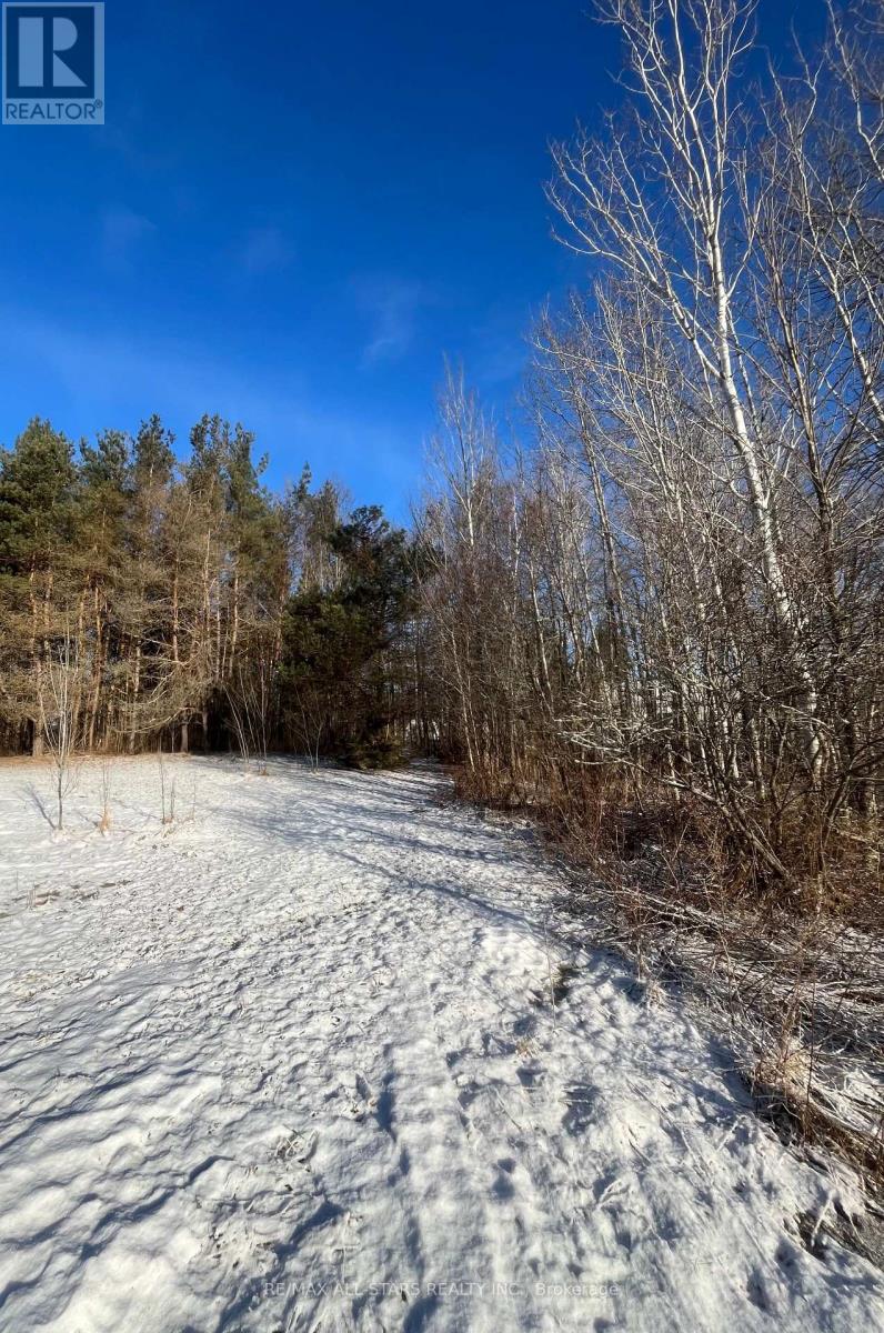 10750 On-522, Parry Sound Remote Area, Ontario  P0H 1A0 - Photo 19 - X12166015