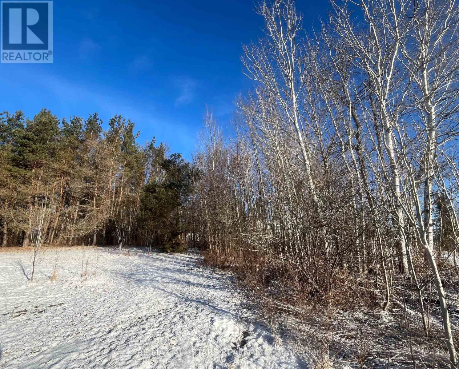 10750 On-522, Parry Sound Remote Area, Ontario  P0H 1A0 - Photo 20 - X12166015