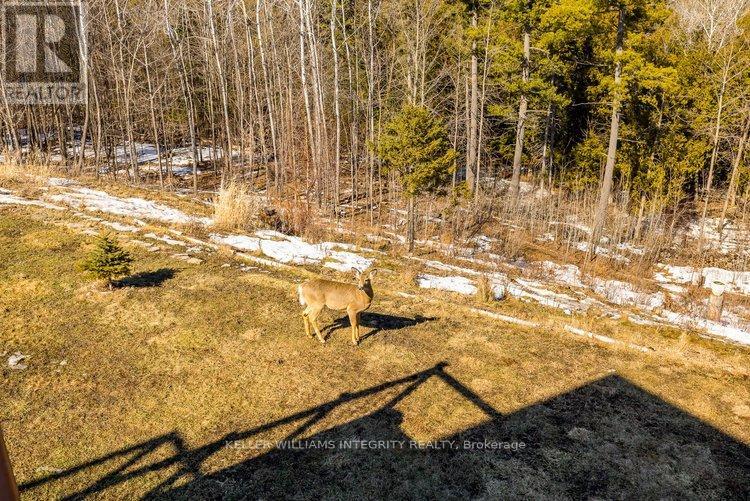 3052 Stoneridge Road, Ottawa, Ontario  K0A 1T0 - Photo 44 - X12166139