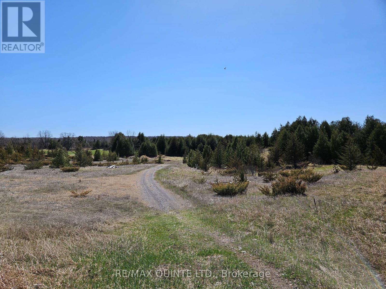 63 Horrigan Road, Tweed, Ontario  K0K 2L0 - Photo 31 - X12108684