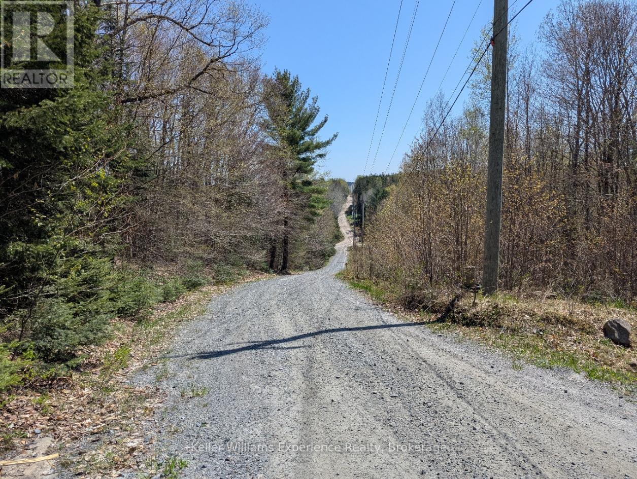 102 Old School House Road, Huntsville, Ontario  P1H 2J4 - Photo 12 - X12166312