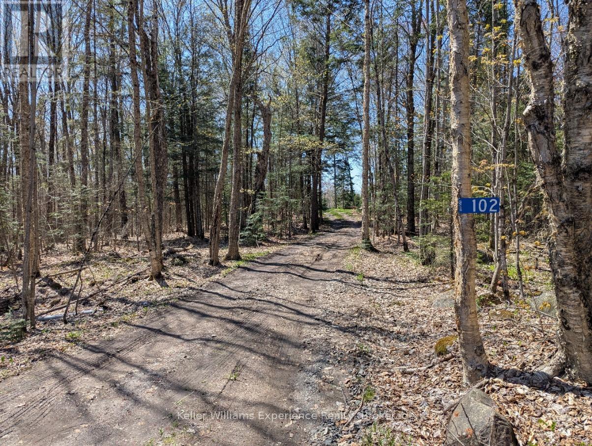 102 Old School House Road, Huntsville, Ontario  P1H 2J4 - Photo 15 - X12166312