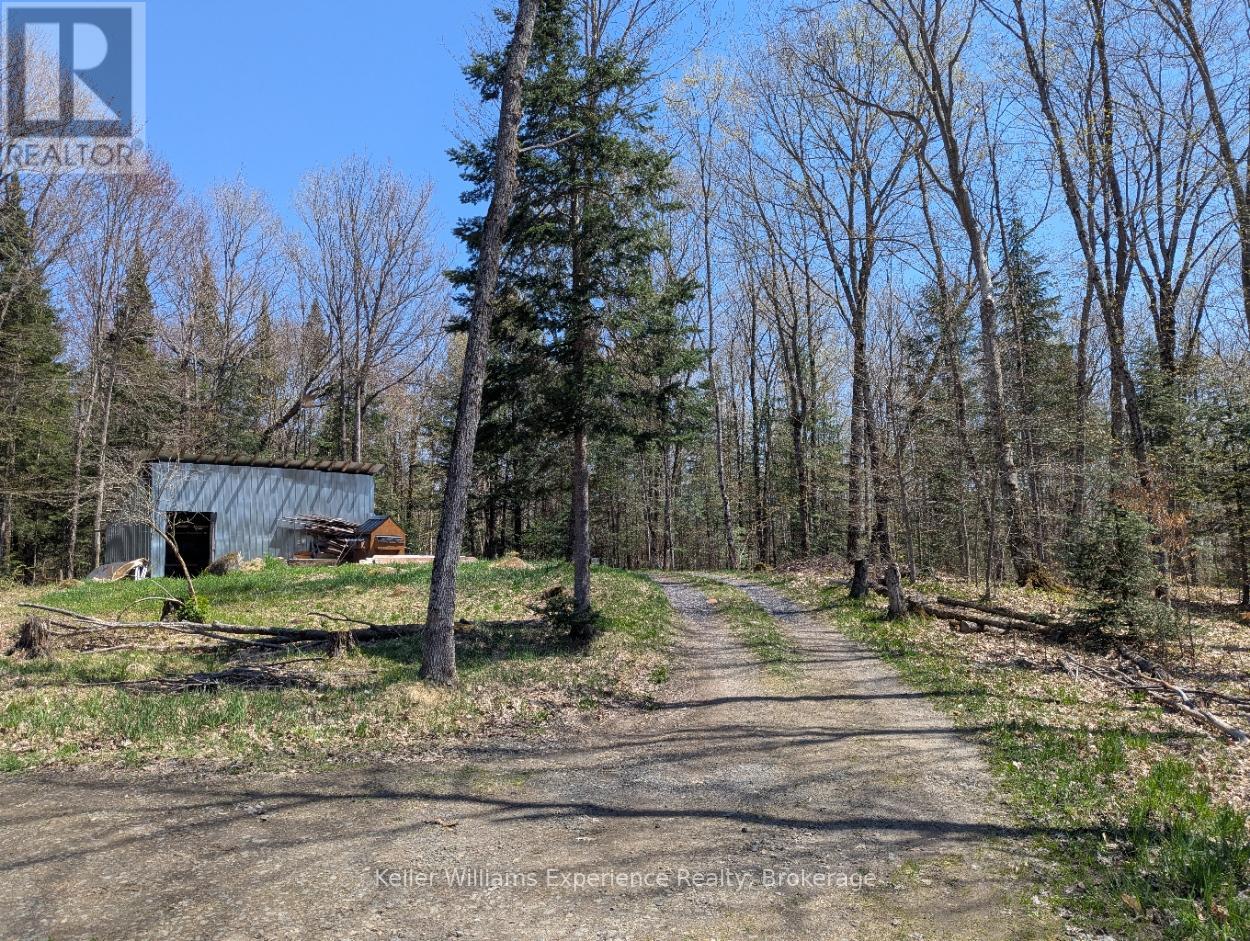 102 Old School House Road, Huntsville, Ontario  P1H 2J4 - Photo 7 - X12166312