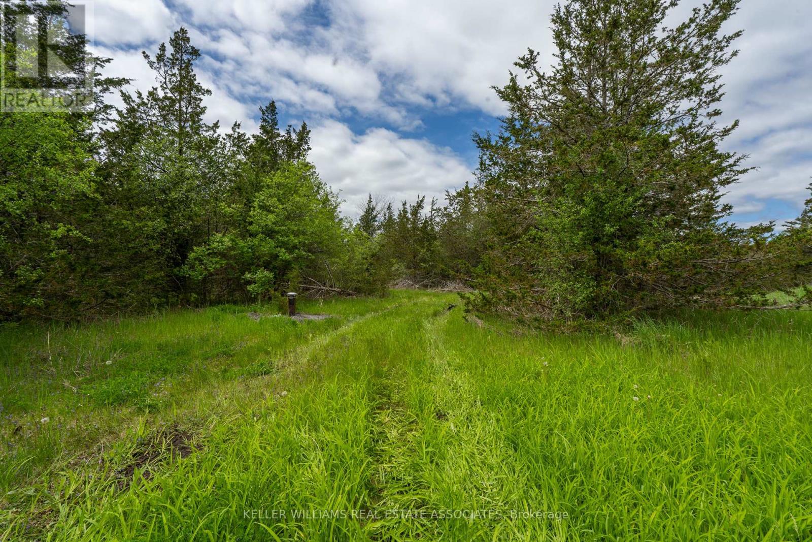 2511 County Road 15 Road, Prince Edward County, Ontario  N8M 2X6 - Photo 8 - X12165270