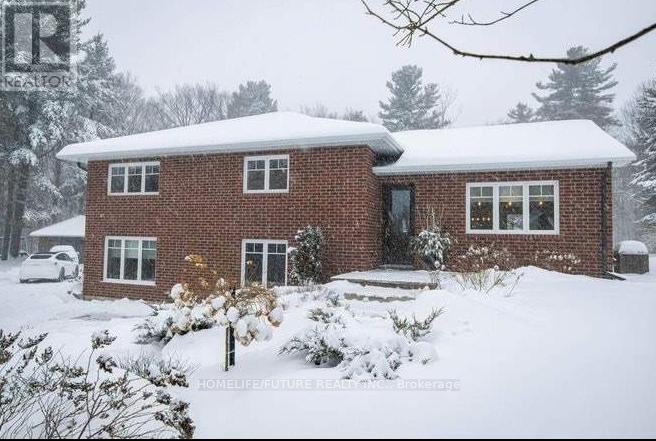 5556 Vivian Road, Whitchurch-Stouffville, Ontario  L4A 3G9 - Photo 45 - N12166365