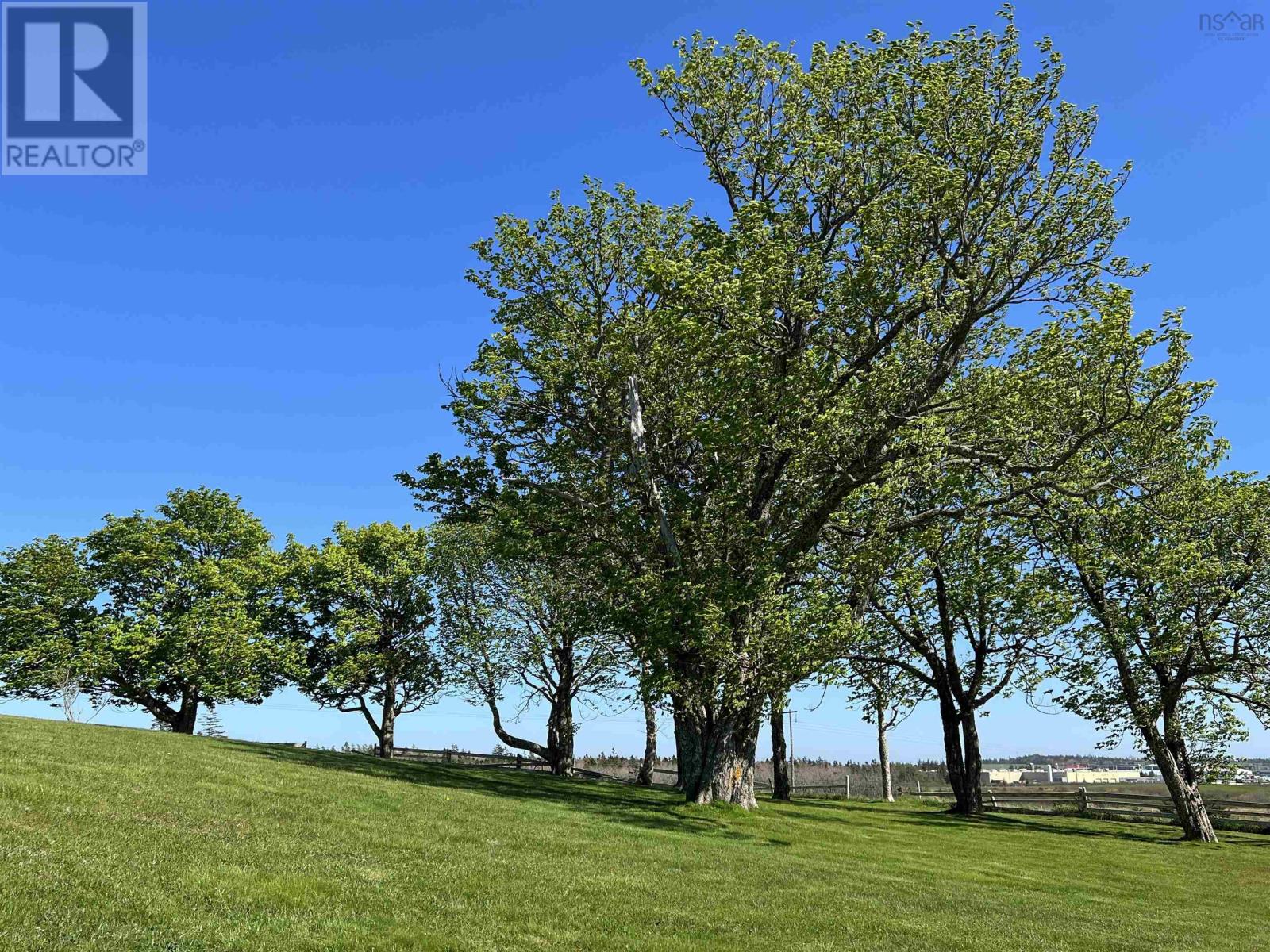 355 Pleasant Street, Yarmouth, Nova Scotia  B5A 2K9 - Photo 29 - 202511929