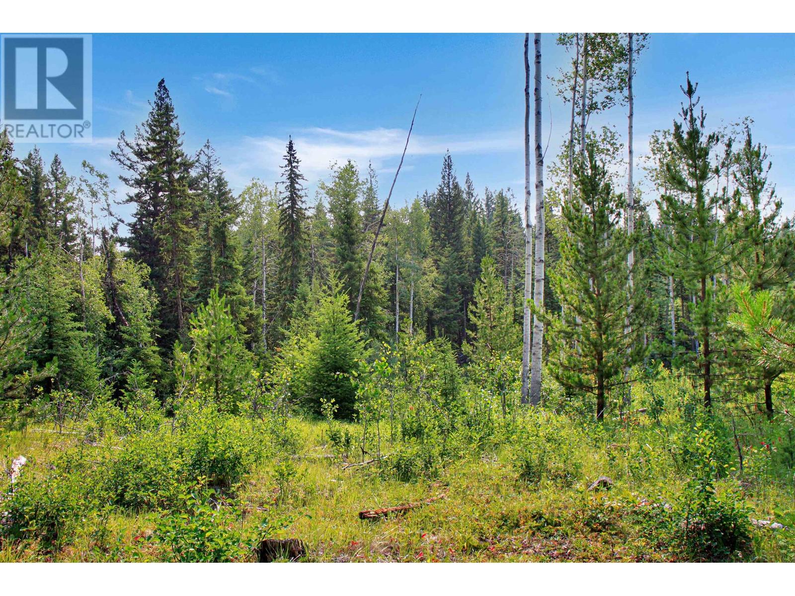 Prop Lot 6 Brown Road, Bridge Lake, British Columbia  V0K 1E0 - Photo 18 - R3004569