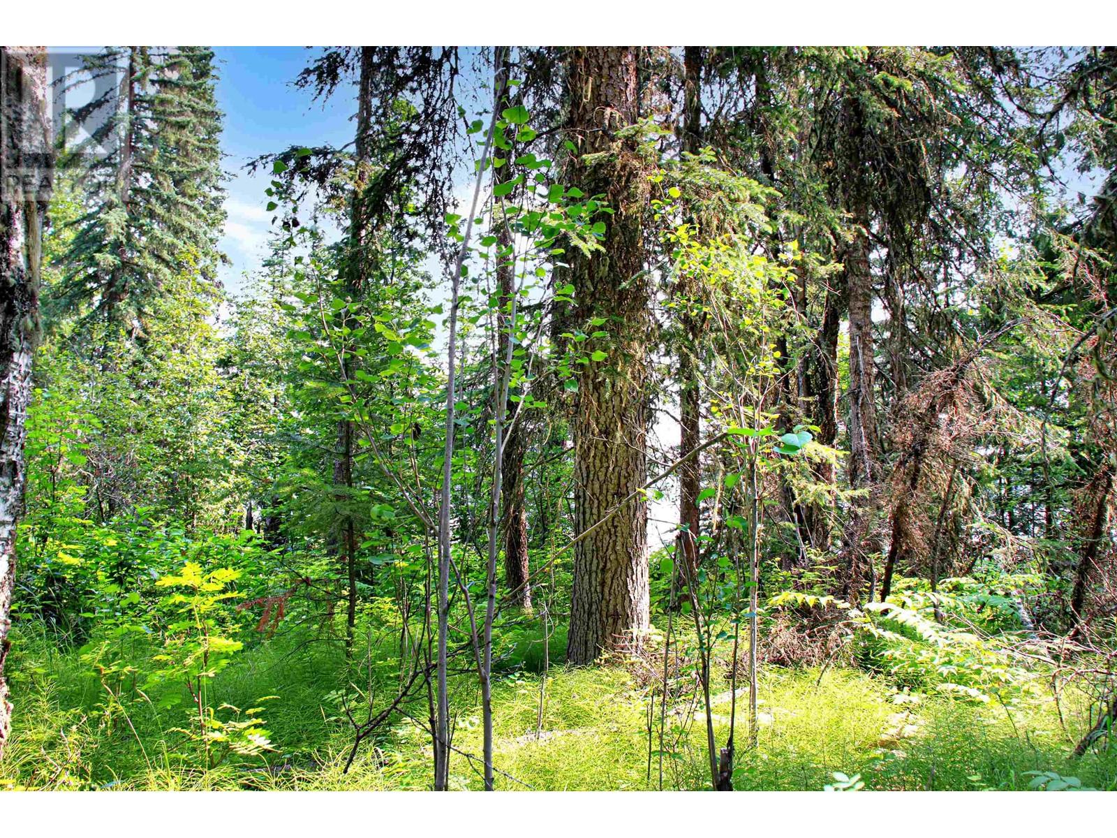 Prop Lot 6 Brown Road, Bridge Lake, British Columbia  V0K 1E0 - Photo 6 - R3004569