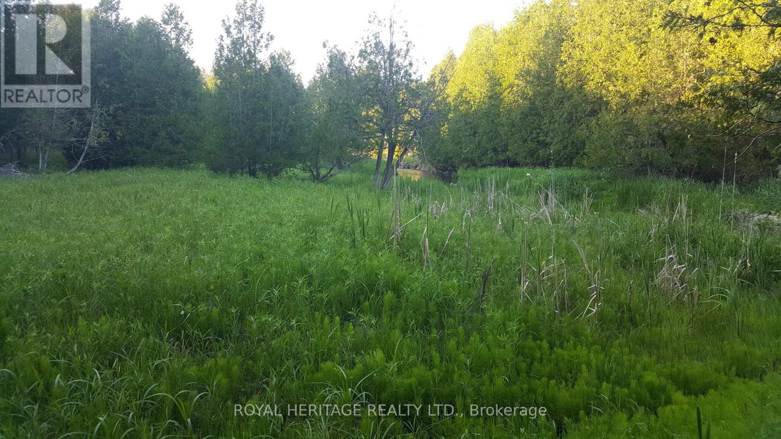 1855 Stevenson Road N, Oshawa, Ontario  L1H 7K4 - Photo 7 - E12166547