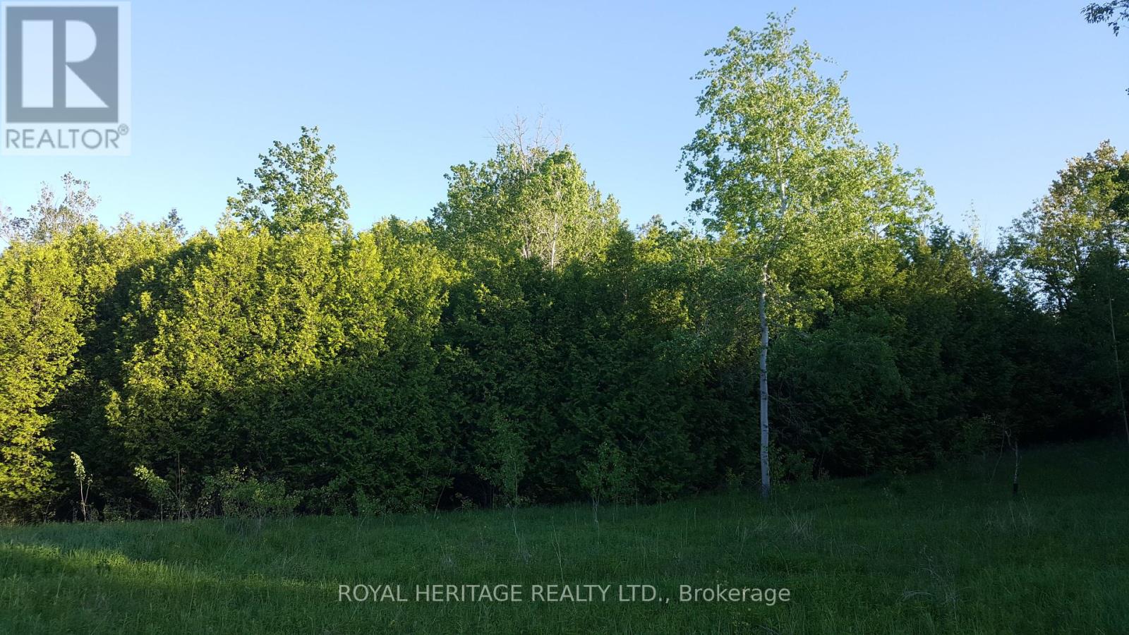 1855 Stevenson Road N, Oshawa, Ontario  L1H 7K4 - Photo 8 - E12166547