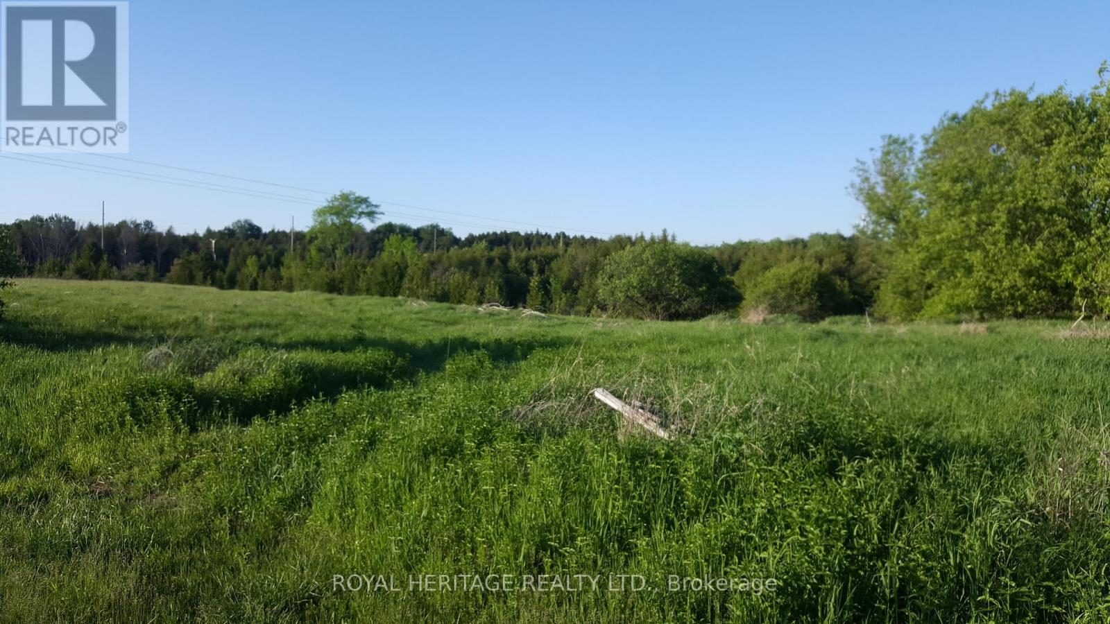 1855 Stevenson Road N, Oshawa, Ontario  L1H 7K4 - Photo 9 - E12166547