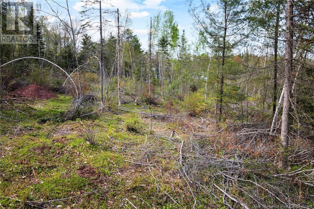 Lot 24-1 Lauvina Road, Geary, New Brunswick  E2V 0O0 - Photo 10 - NB119138