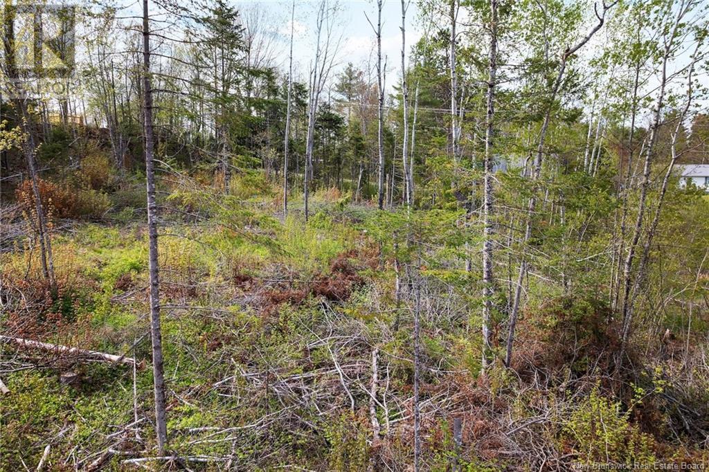 Lot 24-1 Lauvina Road, Geary, New Brunswick  E2V 0O0 - Photo 11 - NB119138