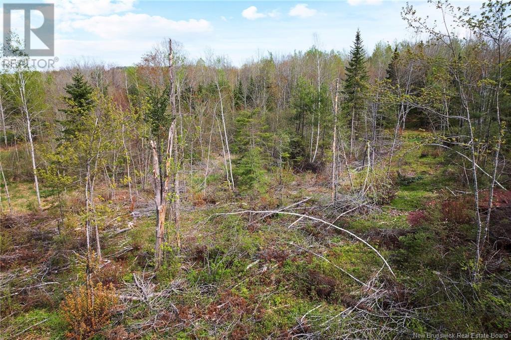 Lot 24-1 Lauvina Road, Geary, New Brunswick  E2V 0O0 - Photo 13 - NB119138