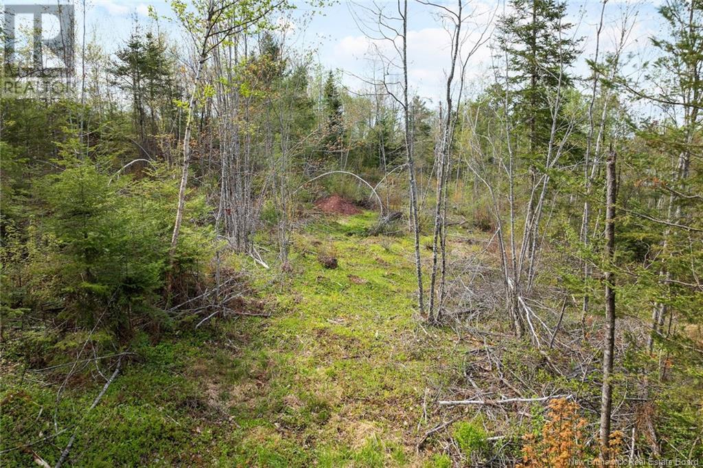Lot 24-1 Lauvina Road, Geary, New Brunswick  E2V 0O0 - Photo 14 - NB119138
