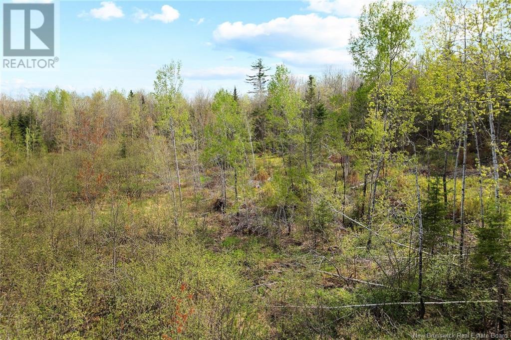 Lot 24-1 Lauvina Road, Geary, New Brunswick  E2V 0O0 - Photo 5 - NB119138