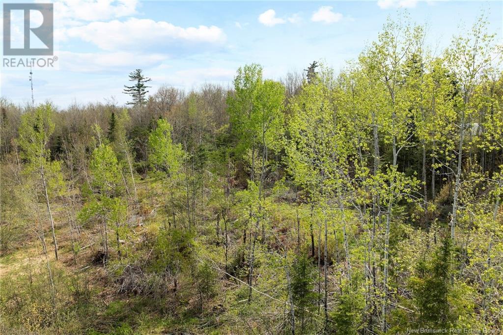 Lot 24-1 Lauvina Road, Geary, New Brunswick  E2V 0O0 - Photo 6 - NB119138